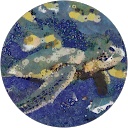 David S. profile picture